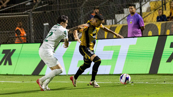 Novorizontino e Palmeiras são os finalistas do Paulistão 2026