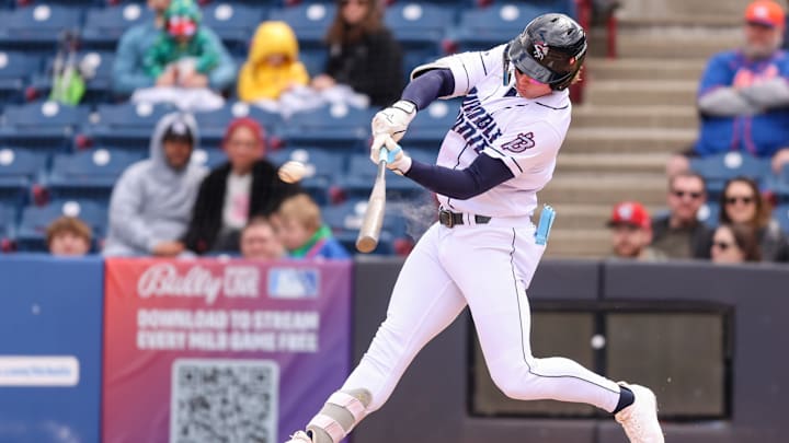 Hartford Yard Goats v. Binghamton Rumble Ponies Hartford Yard Goats v. Binghamton Rumble Ponies
