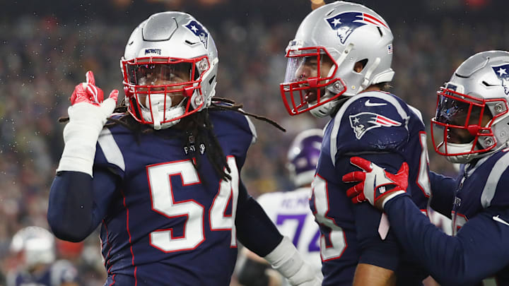 Minnesota Vikings v New England Patriots