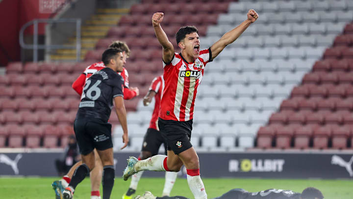 Southampton v Swansea City - Emirates FA Cup Third Round