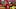 Kenneth Walker III, Kansas City Chiefs, 2026 Fantasy Footbal Kenneth Walker III, Kansas City Chiefs, 2026 Fantasy Footbal