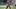 Dak Prescott, Dallas Cowboys Dak Prescott, Dallas Cowboys