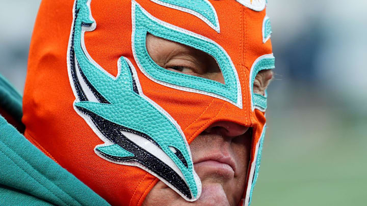 A Miami Dolphins fan