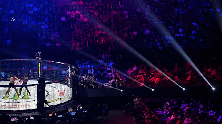 Bellator cage