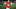 Former UNLV Rebels quarterback Anthony Colandrea Former UNLV Rebels quarterback Anthony Colandrea