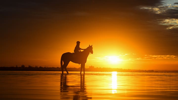 Horses Prepare For Newmarket Handicap On Altona Beach
