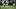 Browns RB Dylan Sampson has a chance to be the best Week 6 waiver wire add for fantasy football managers Browns RB Dylan Sampson has a chance to be the best Week 6 waiver wire add for fantasy football managers