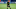 Marco Verratti Marco Verratti
