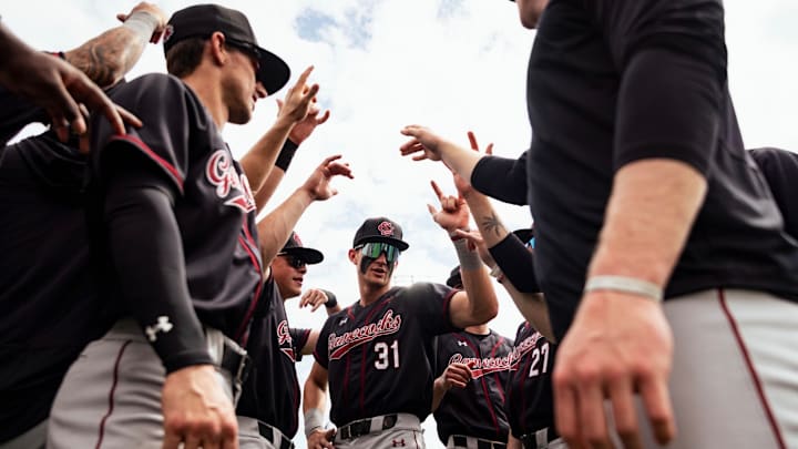 The South Carolina 2025 Baseball Season isn't off to an ideal start. 