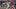 Philadelphia Phillies shortstop Trea Turner Philadelphia Phillies shortstop Trea Turner