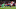 Gabriel Martinelli, Gianluigi Donnarumma, Marquinhos