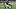 Saints running back Audric Estimé