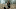 TOWL_101_GP_0222_0126-RT TOWL_101_GP_0222_0126-RT
