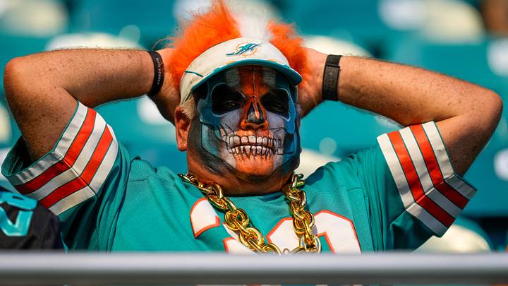 Miami Dolphins fans look on during warmups Miami Dolphins fans look on during warmups