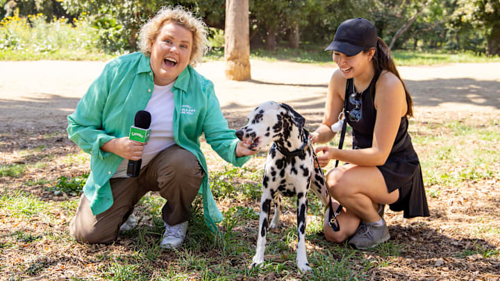 Fortune Feimster partners with GREENIES for Double Dog Dare You campaign