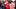 Arkansas Razorbacks fans Arkansas Razorbacks fans