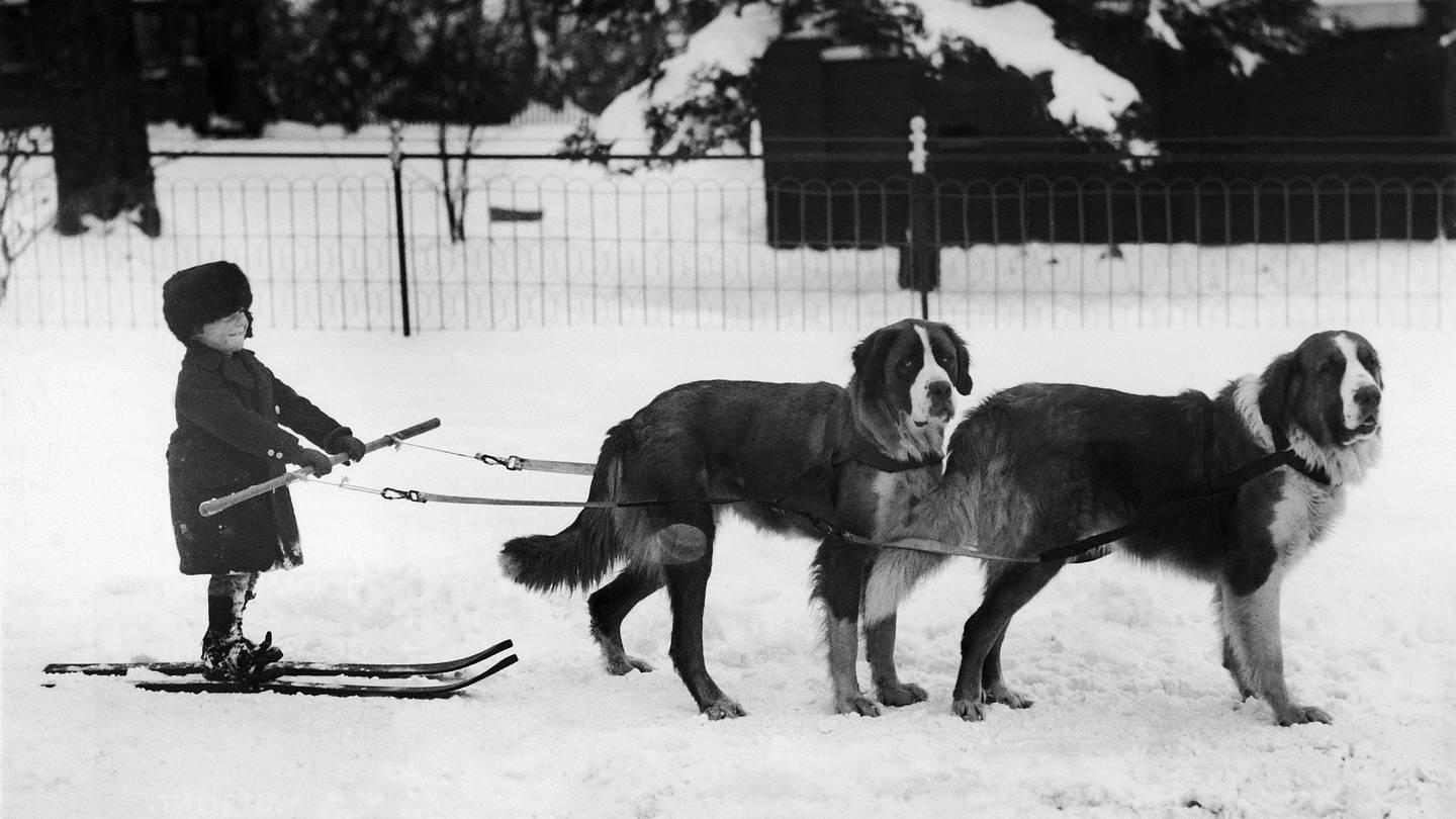 How Did Americans Prepare for Winter 100 Years Ago?