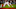 Boston Red Sox left fielder Jarren Duran