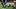 Aaron Jones could miss time with an aggravated MCL sprain. Aaron Jones could miss time with an aggravated MCL sprain.