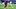 Lamine Yamal, Willy Semedo Lamine Yamal, Willy Semedo