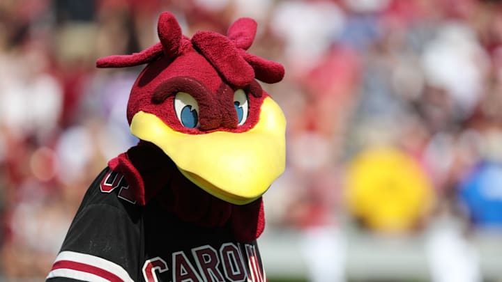 South Carolina football mascot Cocky
