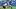 Pitt QB Mason Heintsche Pitt QB Mason Heintsche