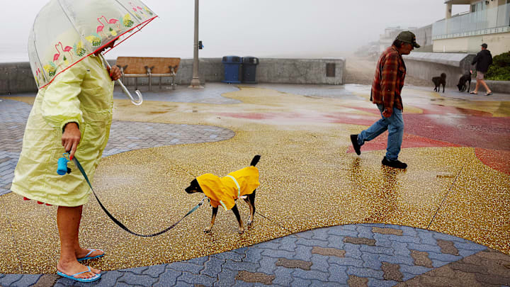 Tropical Storm Hilary Brings Wind and Heavy Rain to Southern California