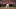 St. Louis Cardinals left fielder Lars Nootbaar St. Louis Cardinals left fielder Lars Nootbaar