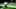 Daryl Worley, Baltimore Ravens Daryl Worley, Baltimore Ravens