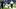 Colts cornerback Sauce Gardner (Blue Jersey, Number 1) attempts to walk off the field on his own following