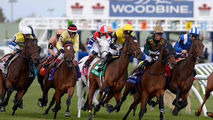 Woodbine Race Track