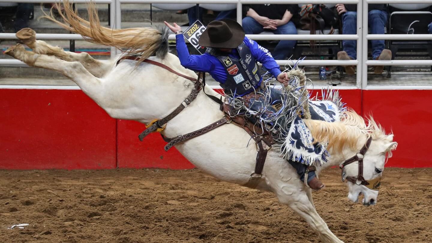 Six-Time NFR Selected Bucking Horse Unexpectedly Passes Away at Age 12