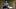 HOHH_102_Unit_03329R HOHH_102_Unit_03329R