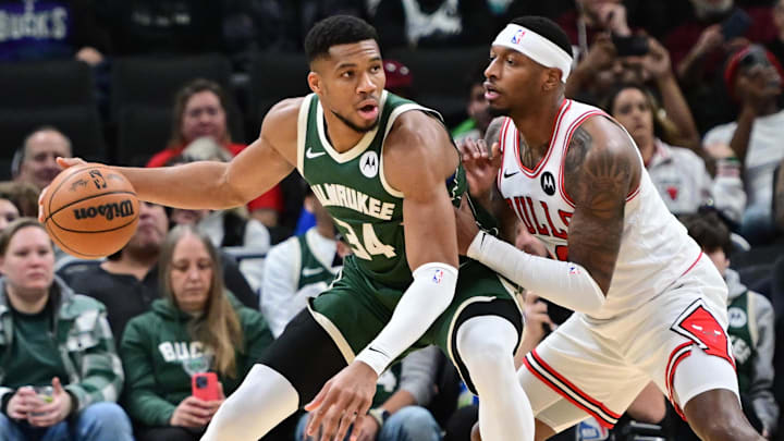 Nov 20, 2024; Milwaukee, Wisconsin, USA;  Milwaukee Bucks forward Giannis Antetokounmpo (34) is guarded by Chicago Bulls forward Torrey Craig (13) in the first quarter at Fiserv Forum. Mandatory Credit: Benny Sieu-Imagn Images