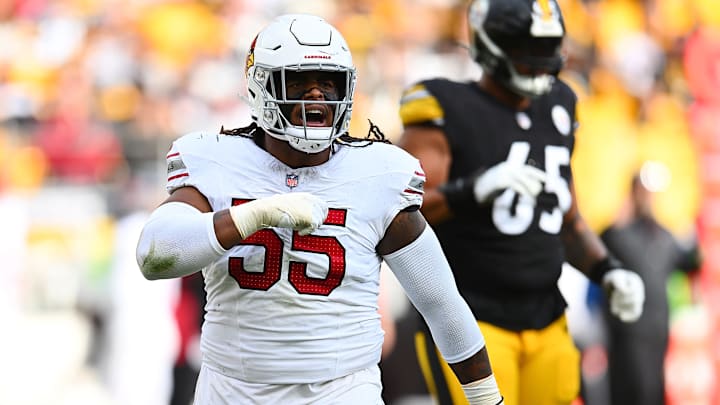Arizona Cardinals v Pittsburgh Steelers