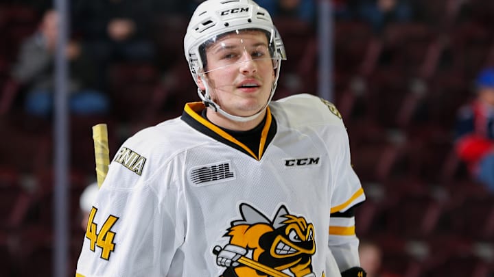 Sarnia Sting v Windsor Spitfires