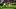 Oklahoma Sooners, Whitt Newbauer Oklahoma Sooners, Whitt Newbauer