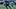 Malik Muhammad in pursuit of Jalen Coker Malik Muhammad in pursuit of Jalen Coker