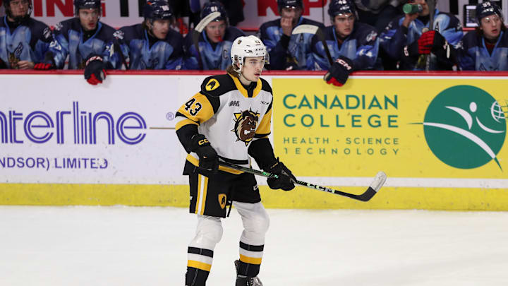 Hamilton Bulldogs v Windsor Spitfires