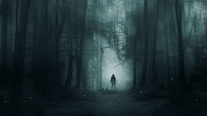 Care to go for a walk in the woods?