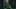 Group of female actors in The Empress (Netflix) walking in the forest in period costume. Group of female actors in The Empress (Netflix) walking in the forest in period costume.