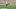 Bortolotti runs near midfield. Bortolotti runs near midfield.