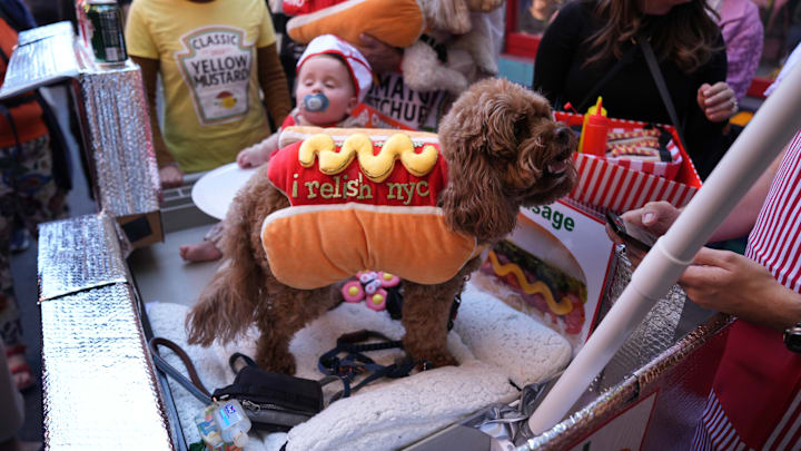 Halloween Dog Parade in NYC