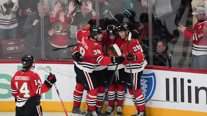Apr 15, 2026; Chicago, Illinois, USA; Chicago Blackhawks center Ryan Greene (20) celebrates his goal against the San Jose Sharks with center Ryan Donato (8) during the third period at United Center. Mandatory Credit: David Banks-Imagn Images