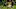 FBL-WC-2026-SAMERICA-QUALIFIERS-VEN-COL