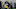 Green Bay Packers defensive end Dani Dennis-Sutton (51) runs a drill rookie minicamp.