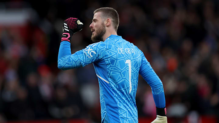 El portero David De Gea.