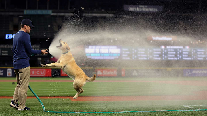 Houston Astros v Seattle Mariners