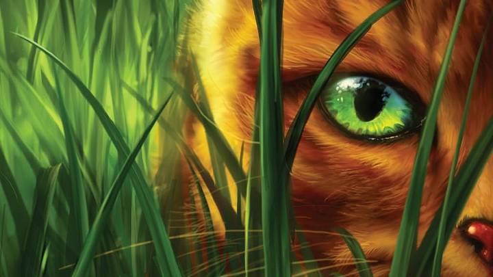 Warriors #1: Into the Wild by Erin Hunter Warriors #1: Into the Wild by Erin Hunter