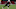 Kyler Murray Kyler Murray